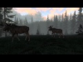 The Hunter 2013 - Deutsche Wlder: Release Trailer