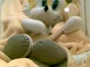 Tails' Web Show - Fun Randomness