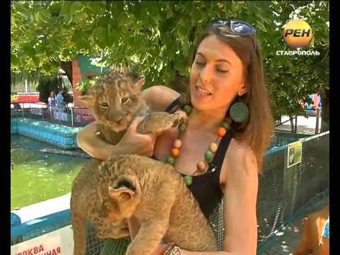 Бэби-бум зоопарк Рен Ставрополь Бэби-бум зоопарк Рен Ставрополь
