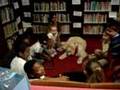 Bocker the Labradoodle - Tail Wagging Tutor