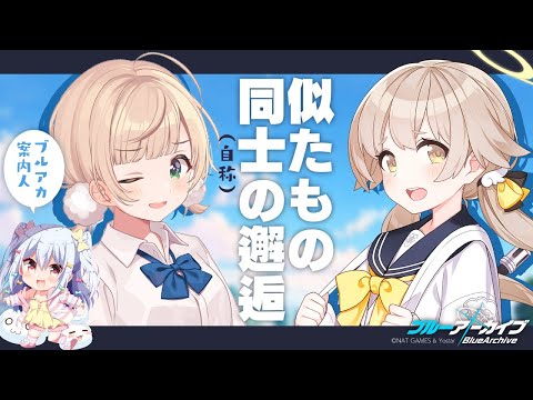 【ブルーアーカイブ】ヒフミちゃんに会いたい！えっガチャからやるんですか！？with犬山たまき