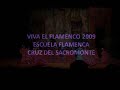 VIVA EL FLAMENCO 2009 .wmv