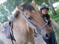 ballade sur chevaux henson 09/2006