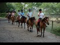 ballade sur chevaux henson 09/2006