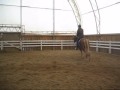 Joëlle et Calypso en manège.wmv