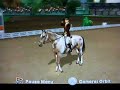Equestrian Challenge - Freja