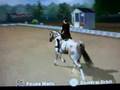 Equestrian Challenge - Freja