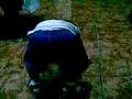 video de elias