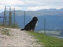 Contemplazione