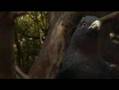 videos de Asturias 1