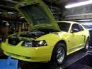 428rwhp '03 mustang gt dyno pull 428rwhp '03 mustang gt dyno pull