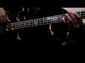 Hair on an Alembic Bass