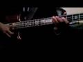 Hair on an Alembic Bass