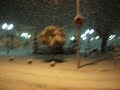 Nieve en Torreperogil