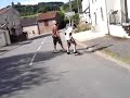 Session free a Manderen Session free a Manderen