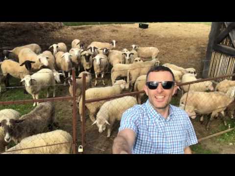 Auto Market Magazin 20. svibnja 2017