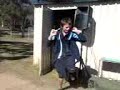 Jew (tom) dancing