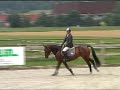 2 | WOYCE MK | Pferde Auktion Neuendorf 2008 2 | WOYCE MK | Pferde Auktion Neuendorf 2008