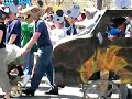 4 - May Day Parade Mpls 5/4/08 - Cars & Consumers Run Amuck