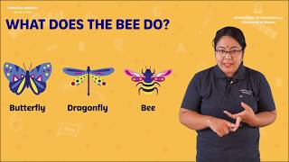 Lesson 2 -What Does The Bee Do