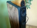 DIY loudspeakers TVM & Visaton