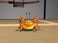 CrabFu CrabFu