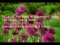 Where Have You Been - Astrud Gilberto Where Have You Been - Astrud Gilberto