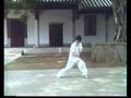 洪敦品 CHINESE kongfu  螳螂拳 武当 少林 Tanglang Wushu GongFu 武术 功夫
