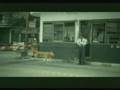 Dog Committing Suicide