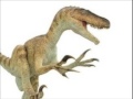 Utahraptor Tribute Utahraptor Tribute