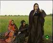 Ouleye mint amar tichitt موريتانيا 10