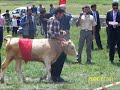 B�l�kba? K�y� Yaz Festivali