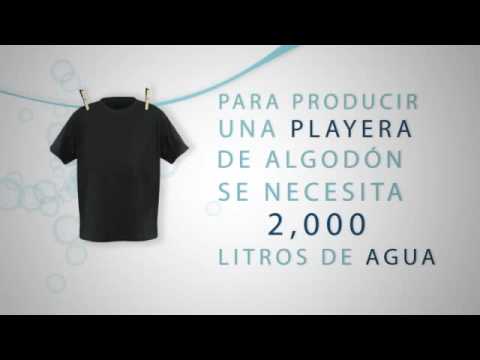 Imagen de previsualización de YouTube