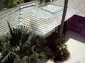 Ocean Eleven Luxury Vila in Samui Thailand