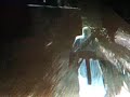 assassin's creed