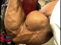 Metroflex-muscle-Six