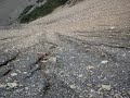 Denali Park Cliffs 2