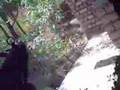 AirSoft Action Video from Republic Georgia