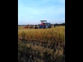ns hoang kha Hoang kha - YouTube