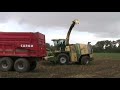 Krone big X V8 + EasyCollect 7500