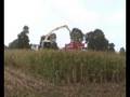 videos de Krone big X V8 + EasyCollect 7500