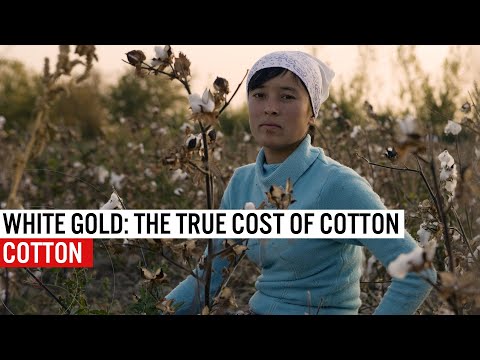 Why Opting for Organic Cotton Matters – mercola.com