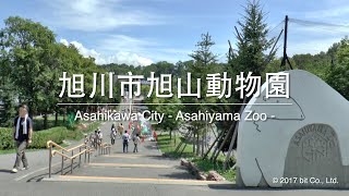 北海道旭山動物園