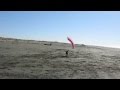 A tired dog is a good dog - Stunt kites and the dogs