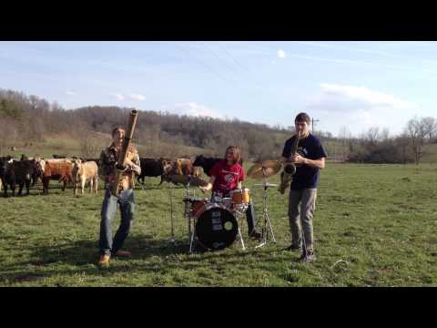 Concerto jazz para uma manada de vacas nervosas