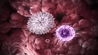 Campaña de Vacunación contra la Influenza 2016-2017