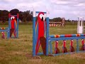 Sharnna & Irish Grey - lambourn show