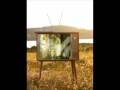 videos de wrecked lives
