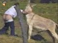 ostias, golpes, caidas y demas chorradas