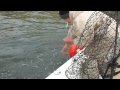 dnahoghunter, Jugging Calaveras Lake for Texas Catfish